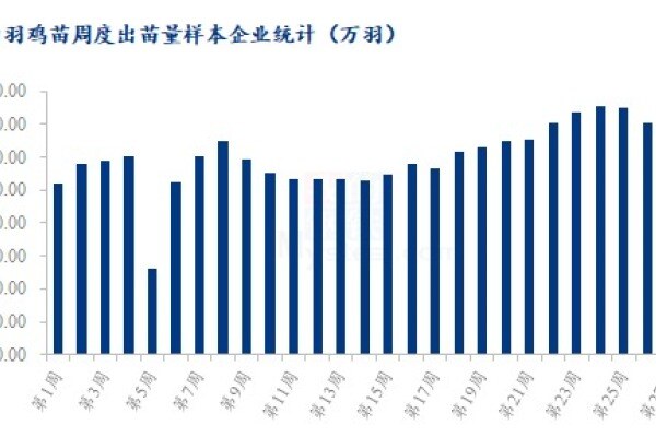 解读：“唱衰”两个月，白羽肉鸡价格为何依旧坚挺？