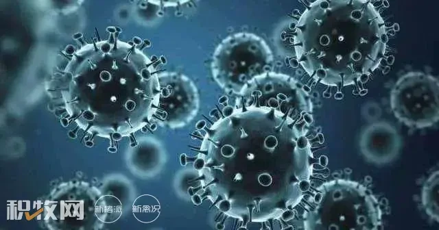 中国家禽H5亚型高致病性禽流感监测报告
