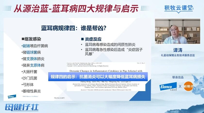 蓝耳病阳性率不降反升？谭涛：防控蓝耳要从源头做起，“三三制原则”是关键