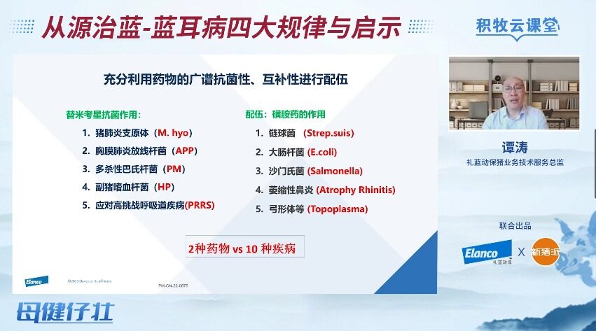 蓝耳病阳性率不降反升？谭涛：防控蓝耳要从源头做起，“三三制原则”是关键