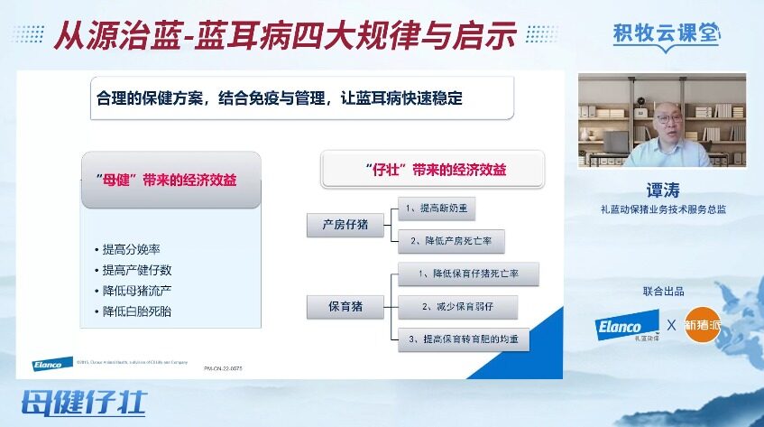 蓝耳病阳性率不降反升？谭涛：防控蓝耳要从源头做起，“三三制原则”是关键