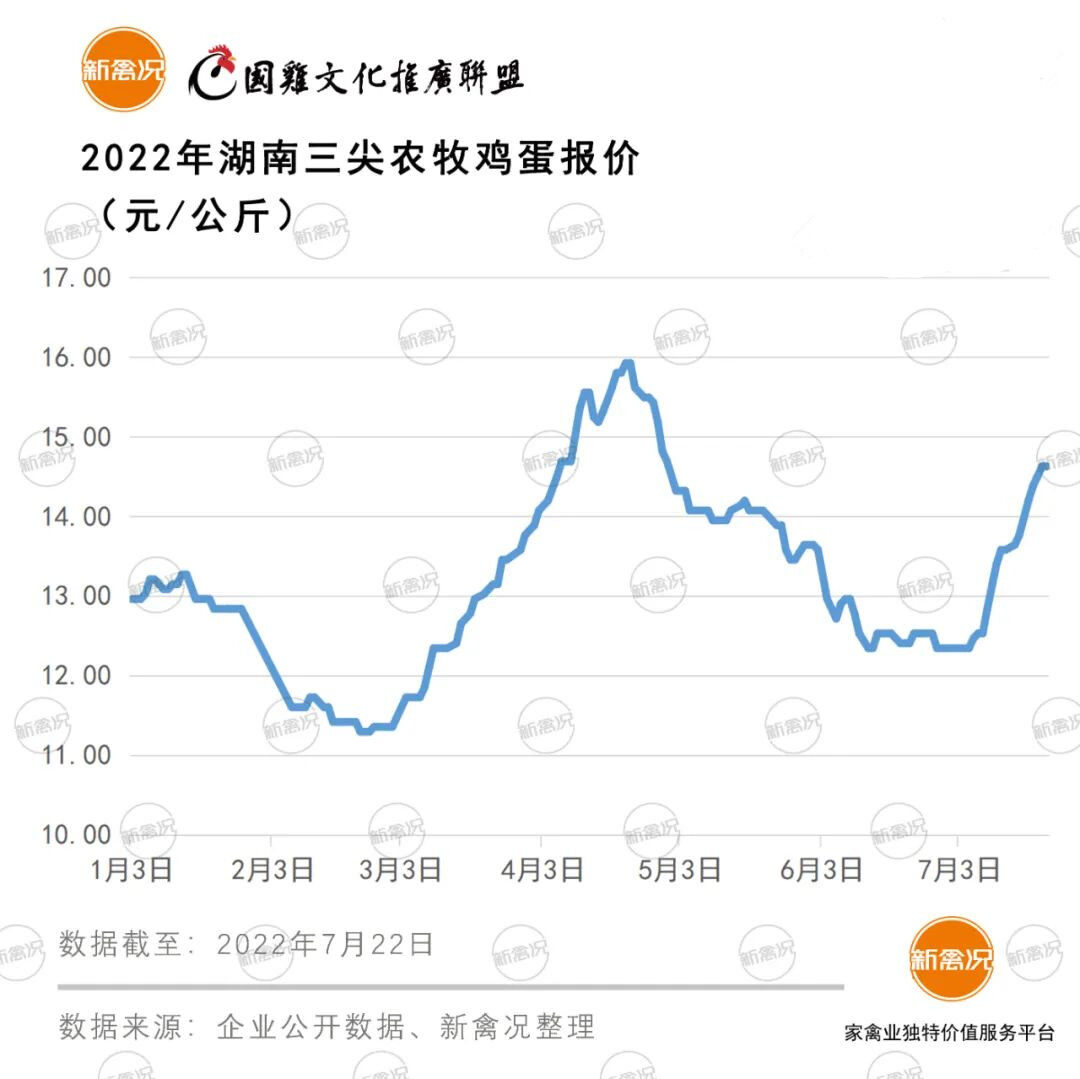 再涨2元！蛋价冲至近5年同期最高，养户手中却没蛋了...【数说禽事】