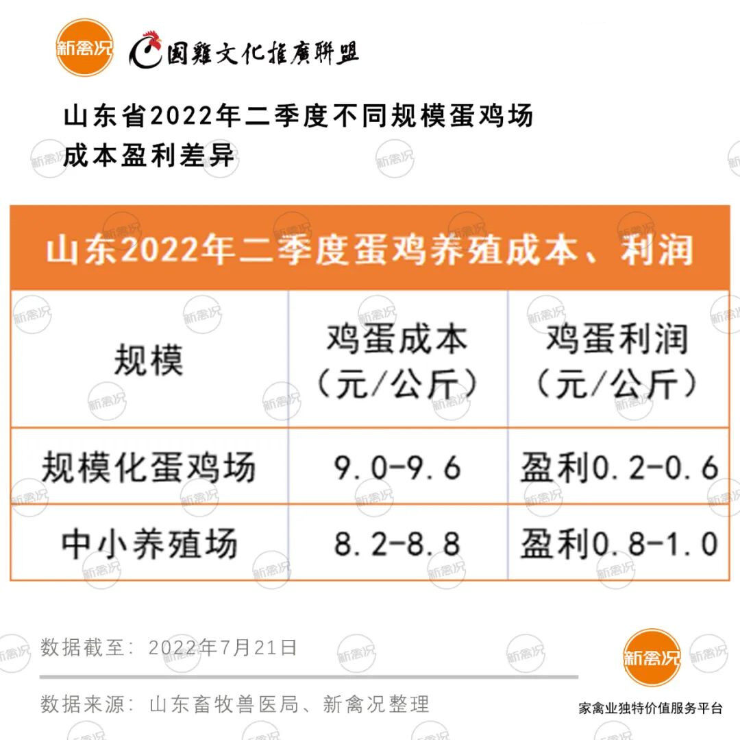 再涨2元！蛋价冲至近5年同期最高，养户手中却没蛋了...【数说禽事】