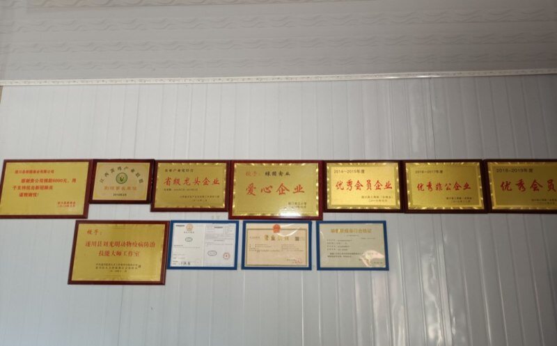 绿园禽业：日产优质蛋20多万枚，未来发展稳中求进 | 品牌蛋