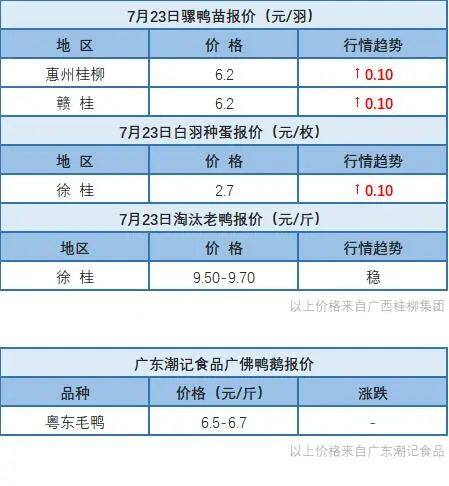 7月22日 浙江、福建水禽價格穩定，桂柳水禽價格上漲【水禽價格指數】