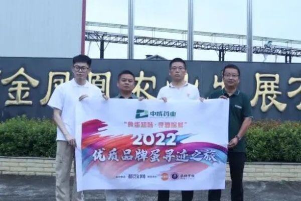金凤凰：精益求精，铸造品质，率先产出无抗蛋，是盐津铺子主要供应商 | 品牌蛋