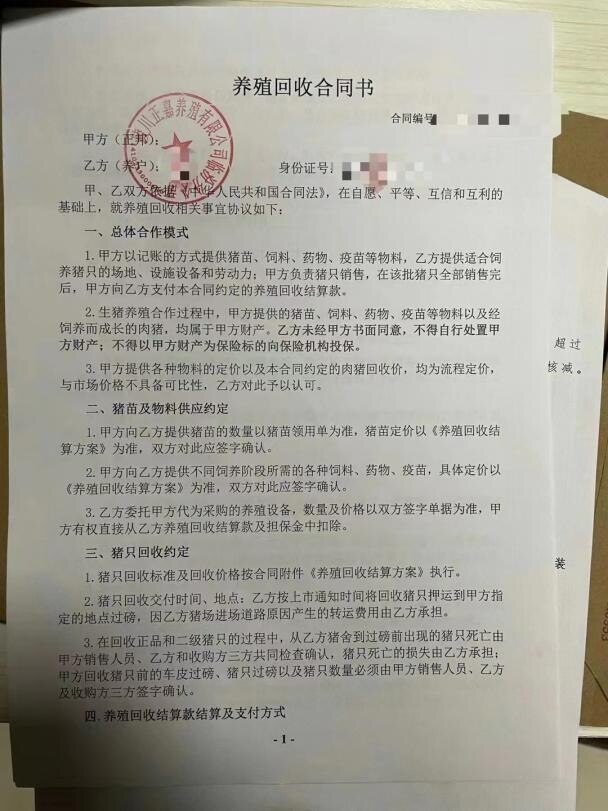 正邦科技陷代养户断料风波,影响收入或达80亿