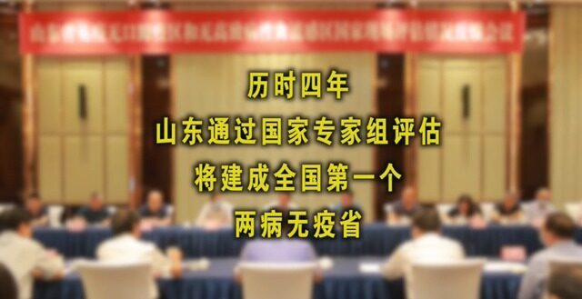 历时四年终获评！山东建成全国第一个“两病无疫省”！