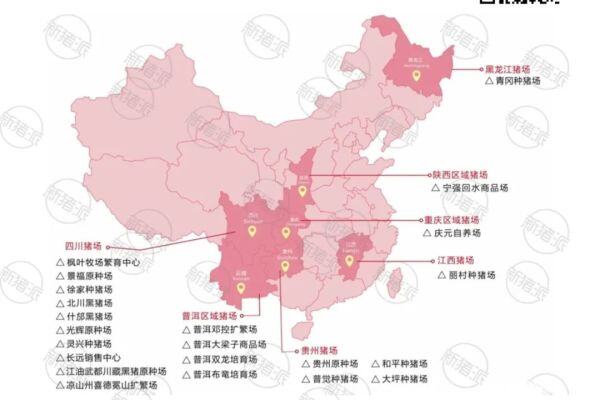 母猪存栏近12万头，年营收150亿元，铁骑力士喜迎创业30周年!