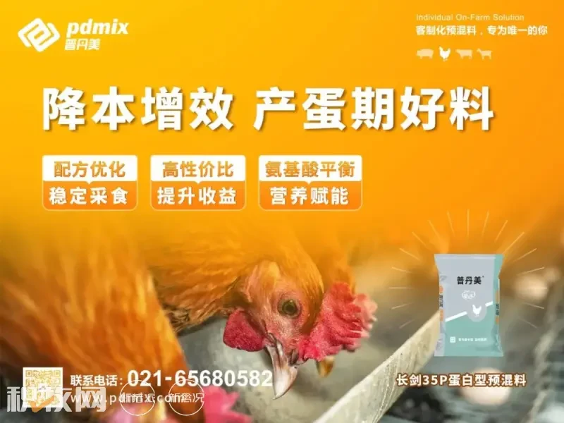 康益禽业：蛋鸡存栏40万，新建青年鸡场补足前端，AI养鸡焕发新动力 | 品牌蛋
