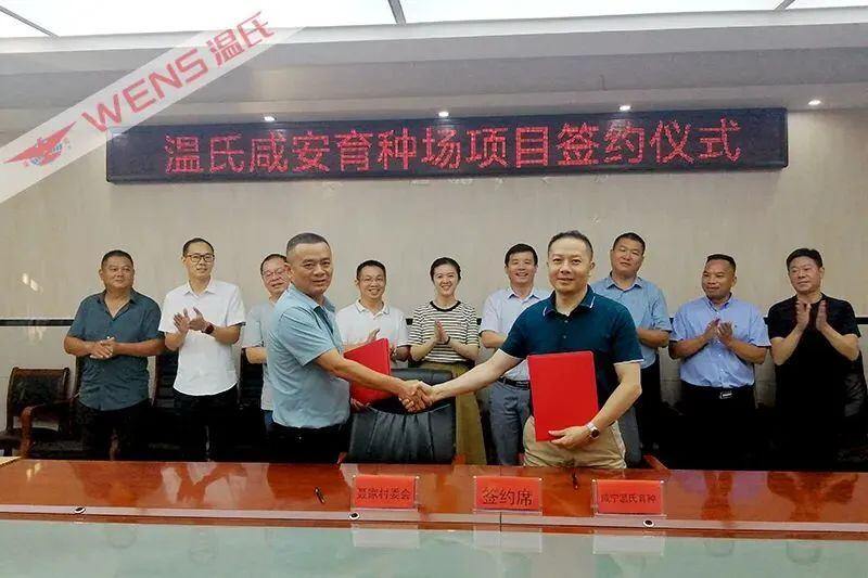 又一新项目签约!温氏股份2025年种鸡年供应或可超3000万套