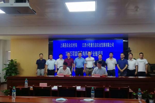 江西上高成功签约300万富硒蛋鸡养殖项目，力争2025年当地蛋鸡存栏超1000万羽