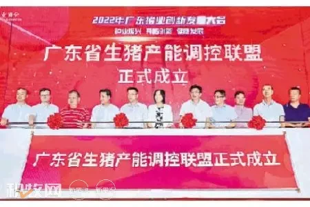 广东省生猪产能调控联盟正式成立