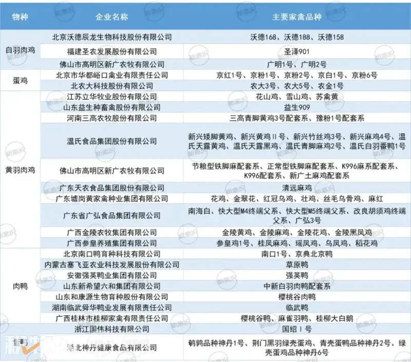 重磅！温氏、立华、广弘控股、新广农牧等23家家禽企业被遴选为国家畜禽种业阵型企业！