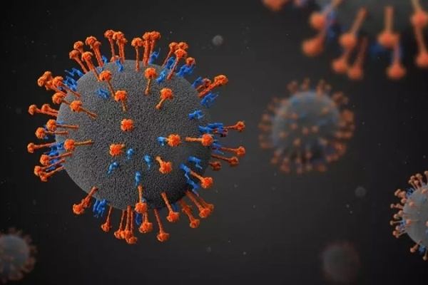 中国发现新人畜共患病毒“琅琊”，山东河南已发生35例感染