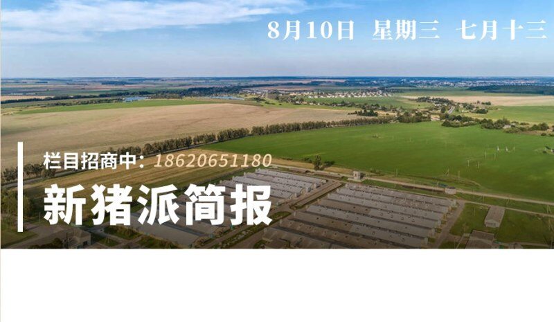 8.10新猪派简报|涨超30%!全国生猪平均价格10.84元/斤;天康、中粮生猪出栏量暴增