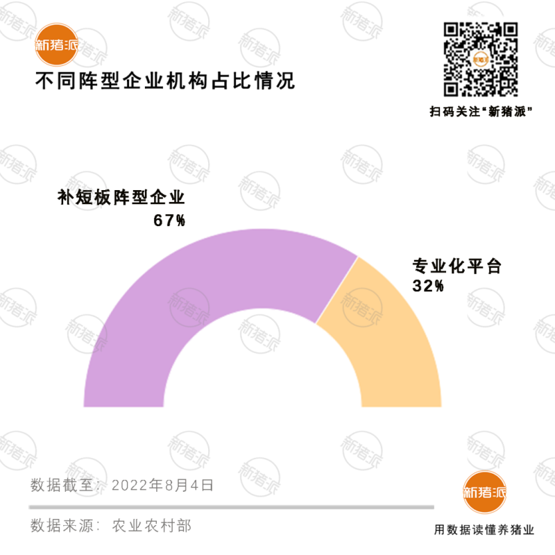 共37家!温氏、牧原、傲农等入选国家生猪种业阵型企业,种业振兴还有哪些动作?