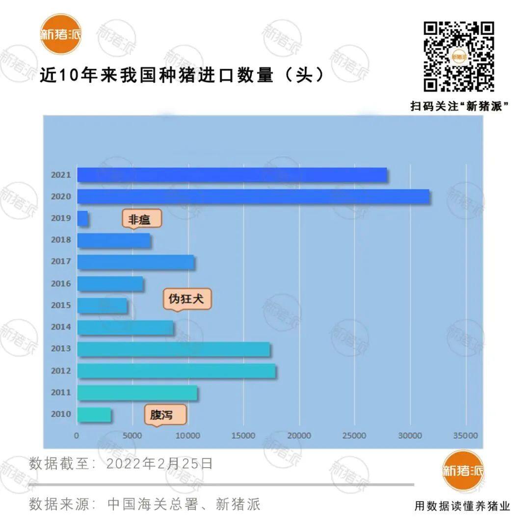 共37家！温氏、牧原、傲农等入选国家生猪种业阵型企业，种业振兴还有哪些动作？