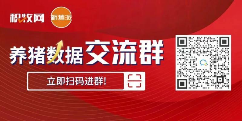 共37家!温氏、牧原、傲农等入选国家生猪种业阵型企业,种业振兴还有哪些动作?