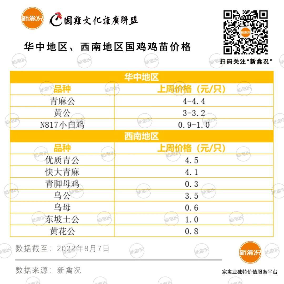 鸡场电费猛长56%！好行情难敌高成本，养户投苗越发谨慎【苗价分析】