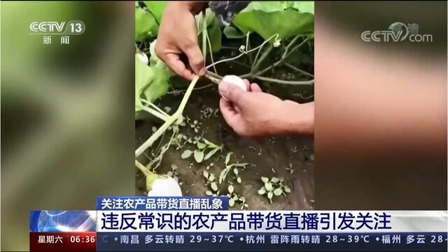 鸡蛋长树上？直播带货“ 不择手段”，受伤的还是养户！