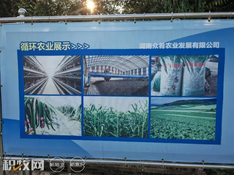 众肴农业:以数智化养殖、规范化管理打造企业“金字招牌”,努力往“做强做深”方向发展!| 品牌蛋