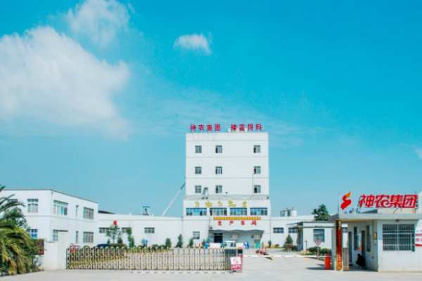 力争2025年出栏300万头！神农集团养猪一手抓广西扩张，一手布局广东！