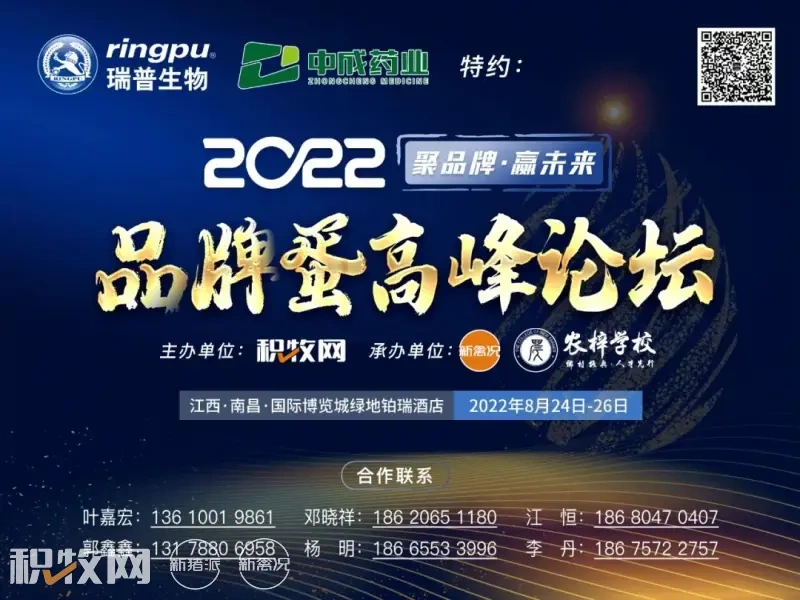 一天卖出10万只!价格上涨40%,中元节变身广西“鸭子劫”