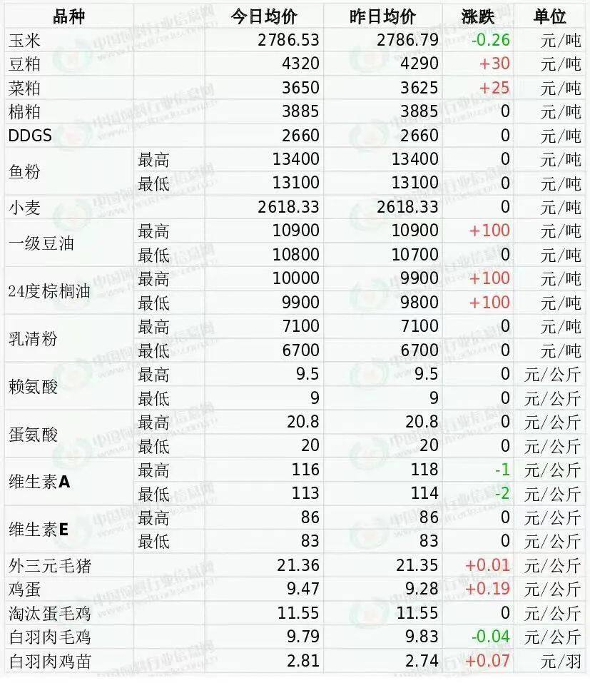 鸡苗上涨8成还靠抢，鸭苗6元/羽易涨难跌，养鸡养鸭可以赚到明年？【禽听要闻】