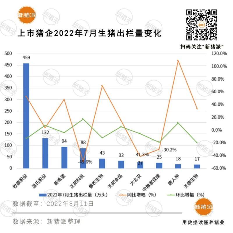 扭亏为盈!前十大上市猪企7月出栏生猪超900万头,牧原单月或盈利29亿