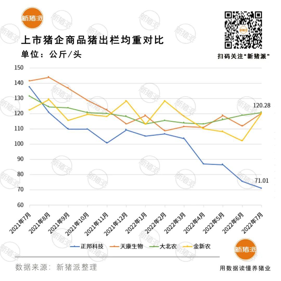 扭亏为盈！前十大上市猪企7月出栏生猪超900万头，牧原单月或盈利29亿