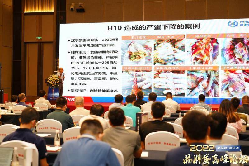 微信图片_20220826030423