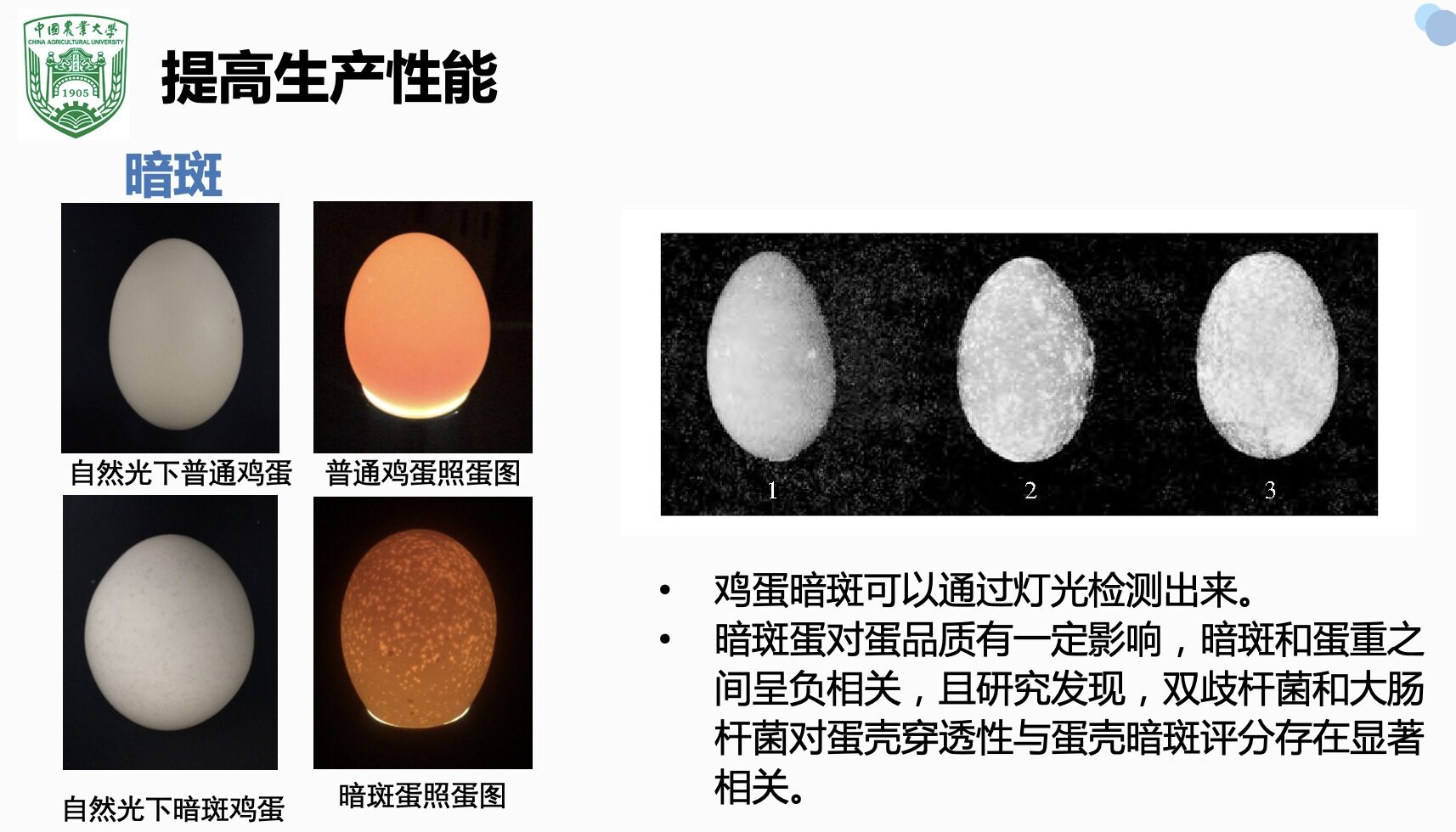 寧中華：蛋雞行業4.0時代來臨，企業發展需緊抓“提質增效”發展思路！