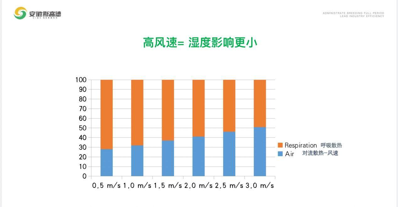 安徽斯高德孙亚男：一年可省六万多元？高效风机助力家禽养殖企业降本增效