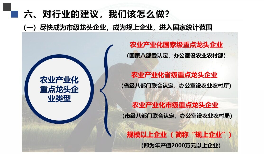 金永国：同蛋不同“命”，同蛋不同“价”，同蛋不同“味”，同蛋不同“样”|2022品牌蛋高峰论坛