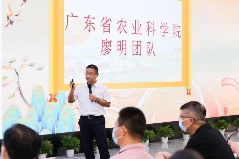 广东省农业科学院动物卫生研究所牵头，成功“挂帅”《重大动物疫病新型综合防控技术》项目