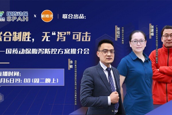 猪群腹泻流行呈现新态势，防控方案如何升级？9月6日张桂红、张建峰、徐敏共同解答