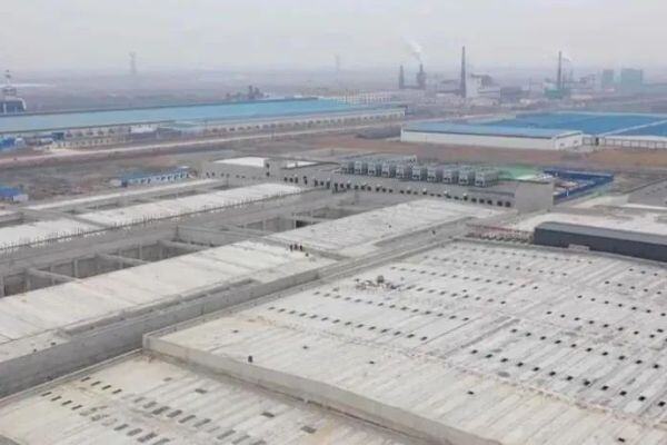 上亿只肉鸡屠宰产能即将释放！活鸡宰后可多赚3元/只？