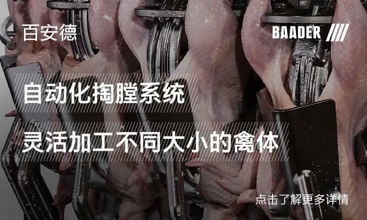 上亿只肉鸡屠宰产能即将释放！活鸡宰后可多赚3元/只？