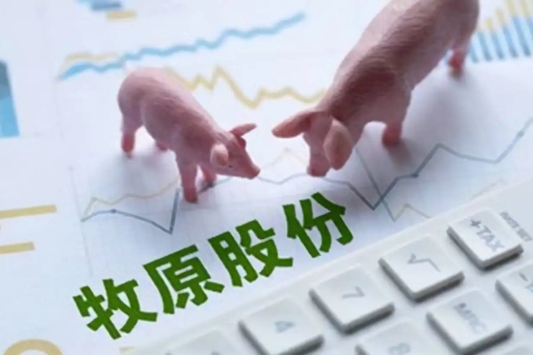 牧原：22年出栏预期上调至6200万头，11月出栏生猪517万头