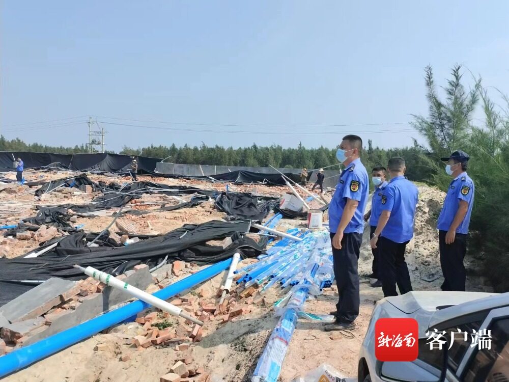 美進口雞腿檢出藥殘！多地養殖場違建被拆、非法排污被舉報……