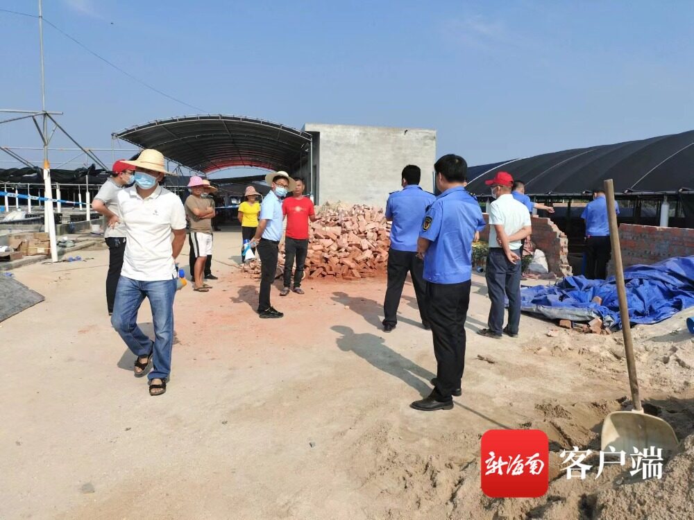 美進口雞腿檢出藥殘！多地養殖場違建被拆、非法排污被舉報……