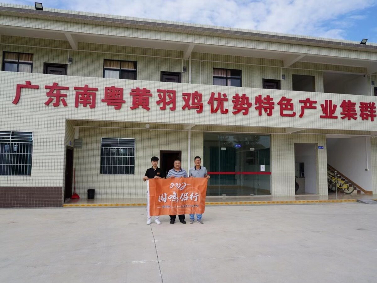 建农畜牧：斥资2000多万建立黄羽鸡高标准化基地，力求打响石坝胡须鸡品牌！| 国鸡侣行