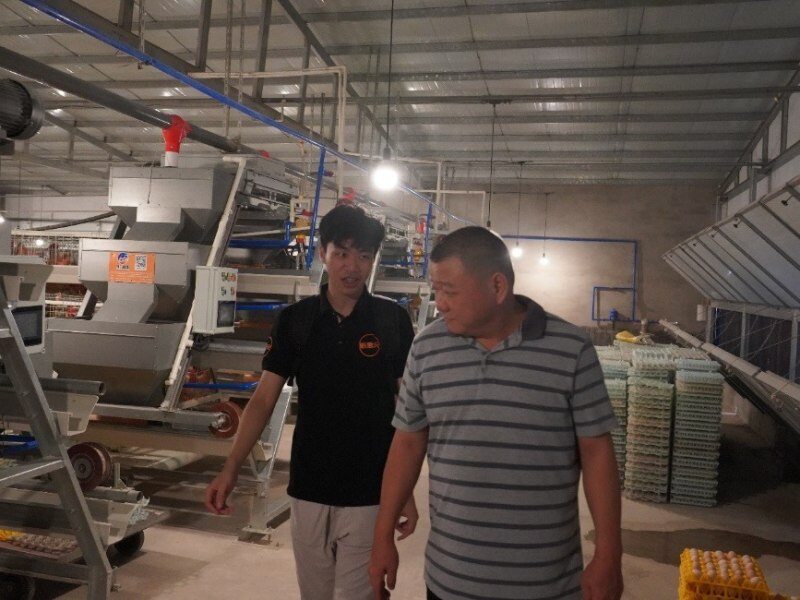 建农畜牧:斥资2000多万建立黄羽鸡高标准化基地,力求打响石坝胡须鸡品牌!| 国鸡侣行