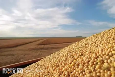 豆粕减量替代或产生27.7万吨赖氨酸和9.9万吨苏氨酸需求