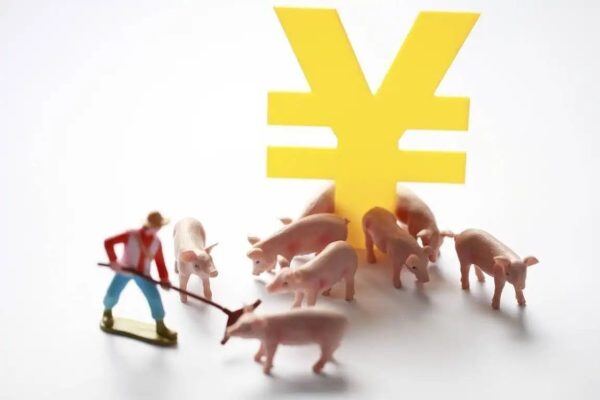 大北农：前11月累计出栏生猪388万头，营收80.65亿