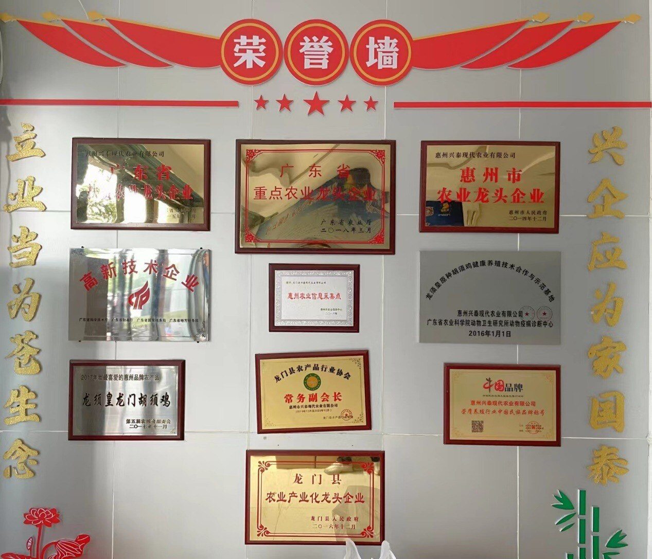 兴泰农业:专注高端鸡赛道,五大措施保证品质!产值15亿元省级胡须鸡产业园已在路上| 国鸡侣行