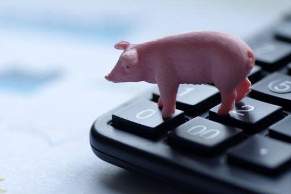 猪价反弹，别家都在压栏惜售，他家生猪75公斤急于出栏