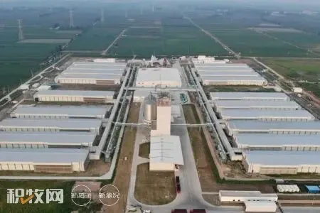 蛋鸡年存栏达360万只！全国规模最大全产业链蛋品项目在山东潍坊竣工投产