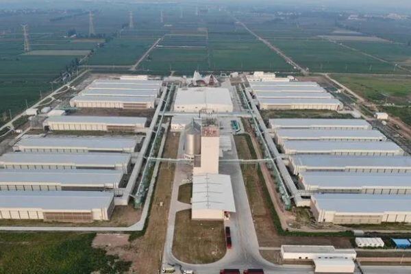 蛋鸡年存栏达360万只！全国规模最大全产业链蛋品项目在山东潍坊竣工投产